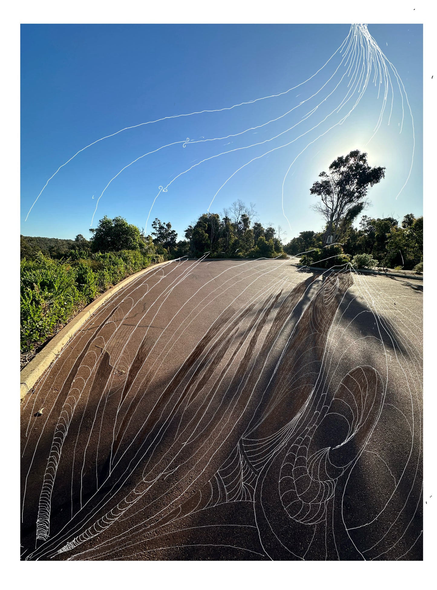 Fine Art Print - Beach Carless Park