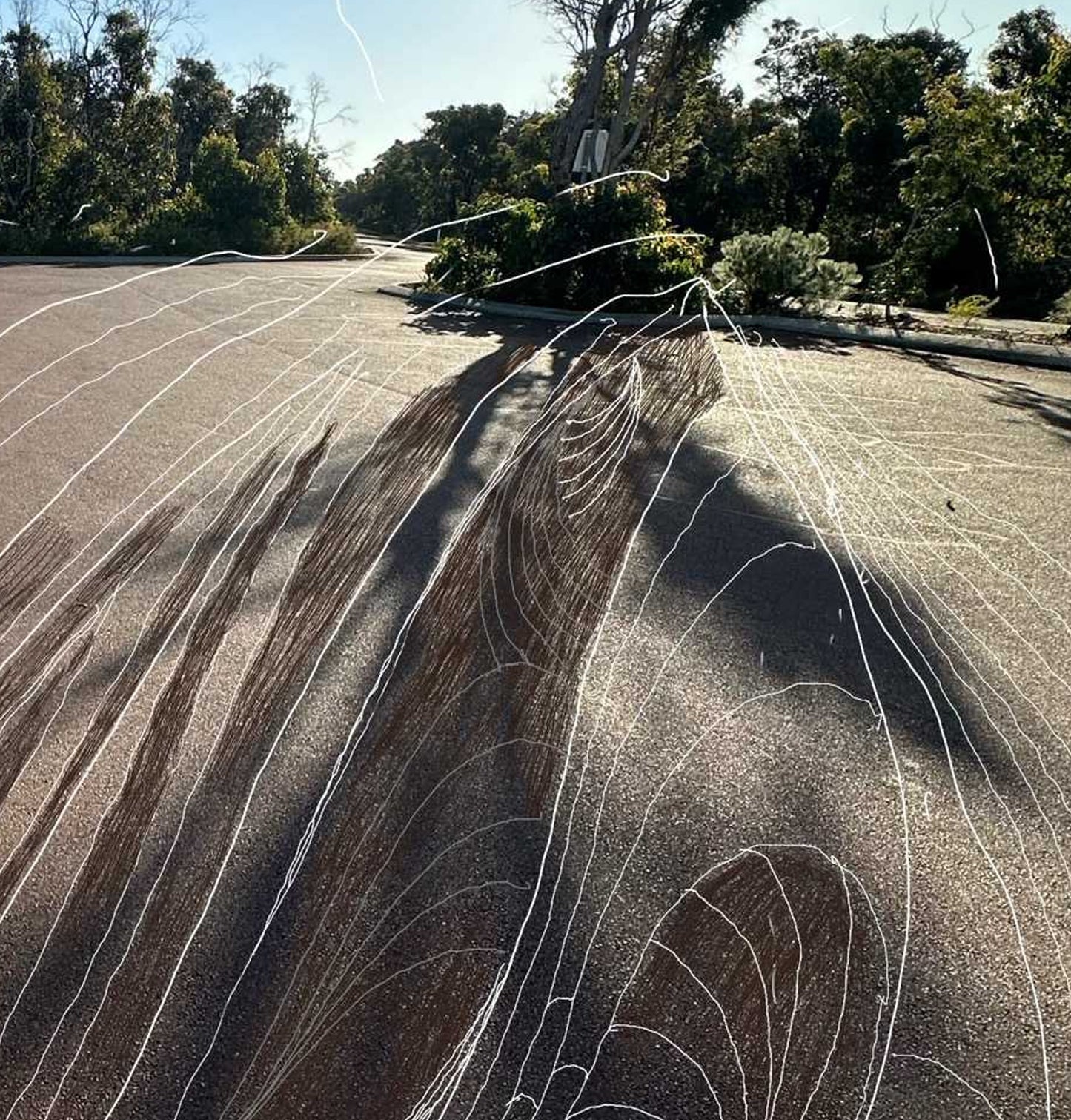 Fine Art Print - Beach Carless Park