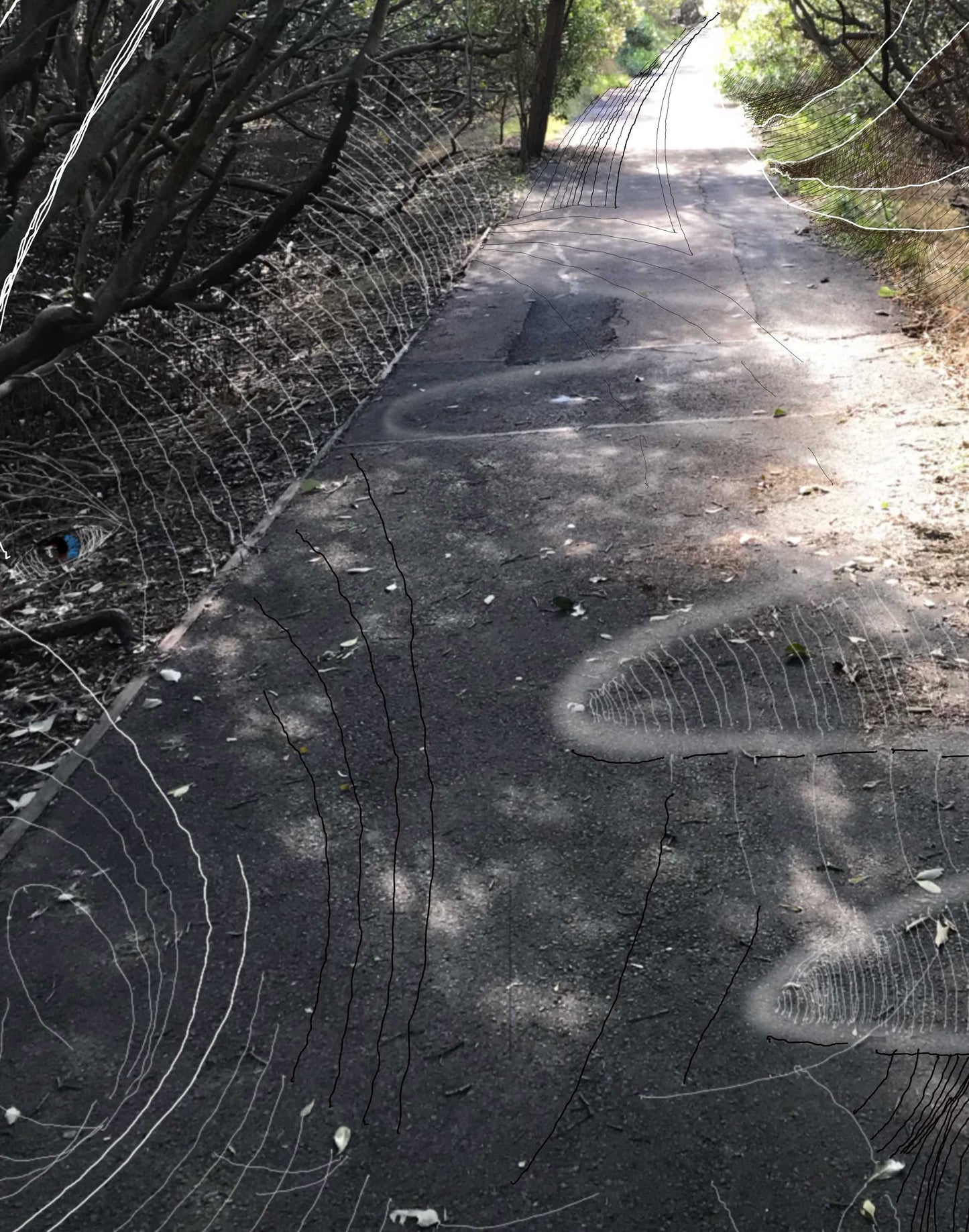 Fine Art Print - Path Way Maybe
