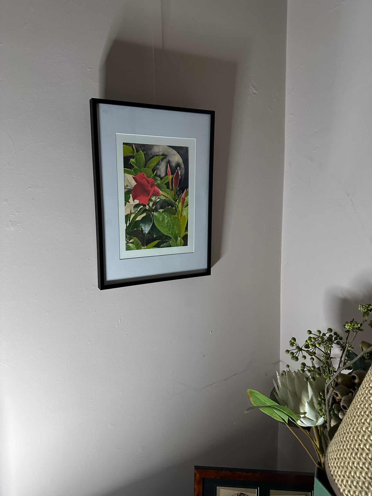 Fine Art Print - Red Flower Glow