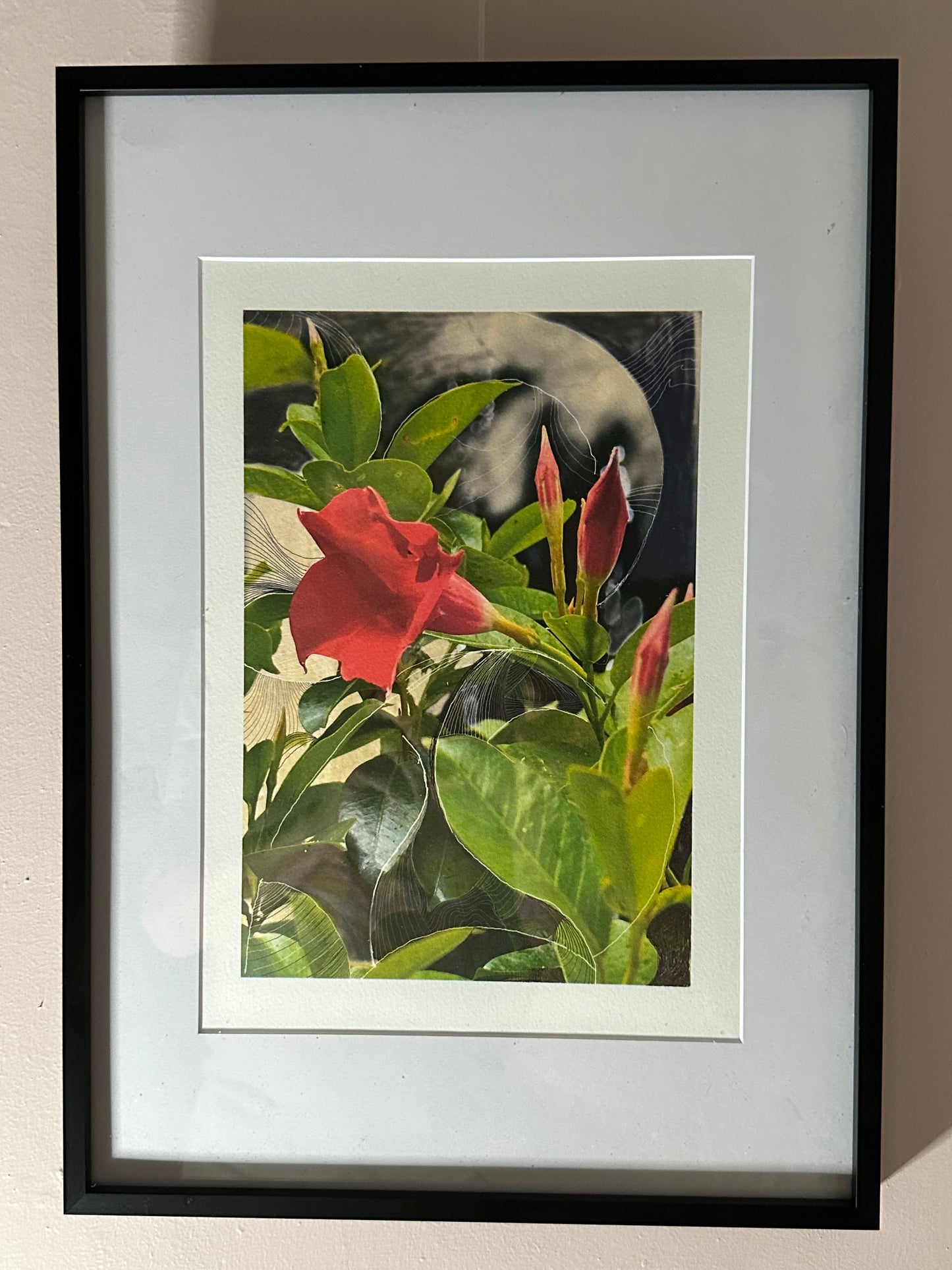 Fine Art Print - Red Flower Glow
