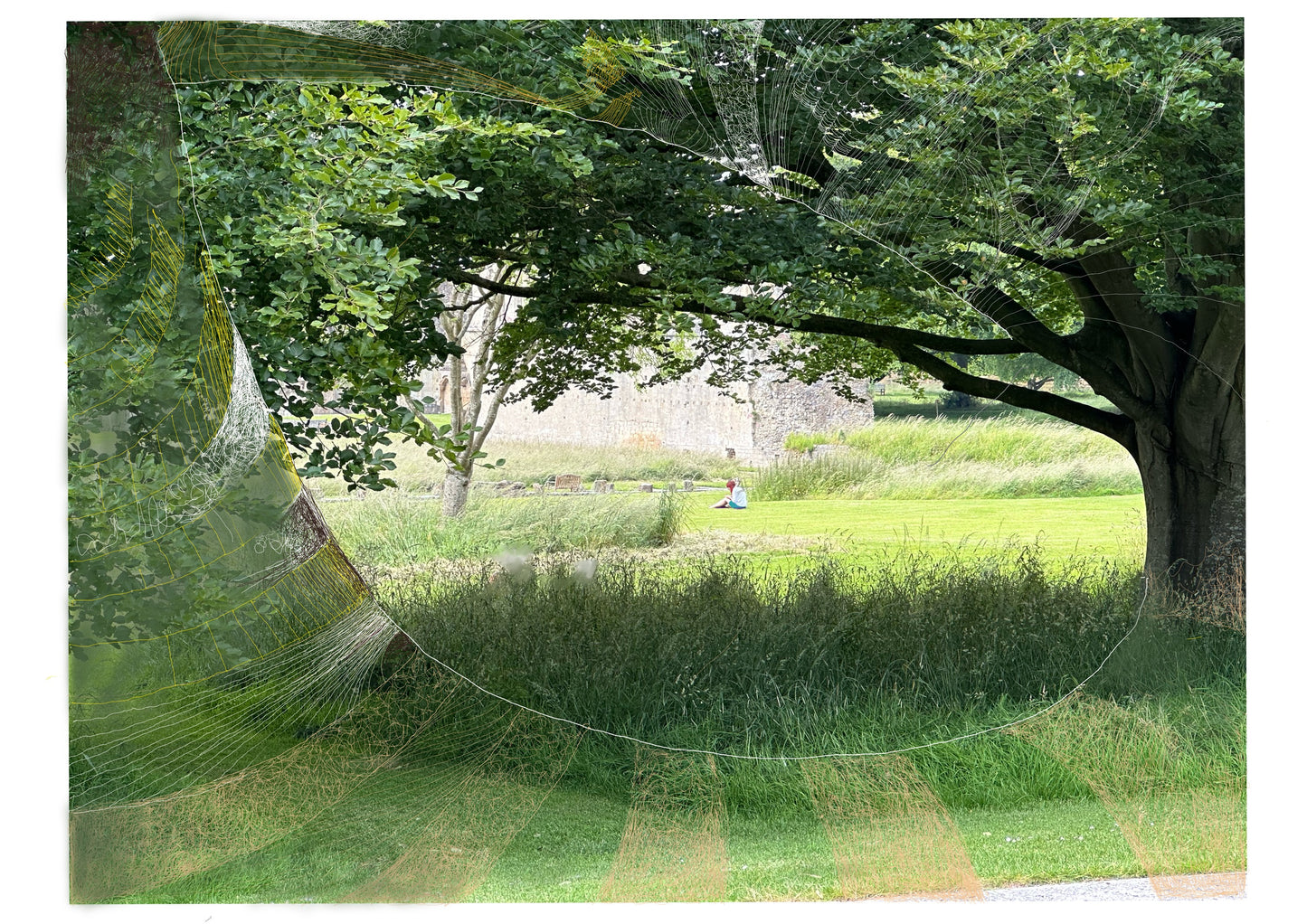 Fine Art Print - Reading Green