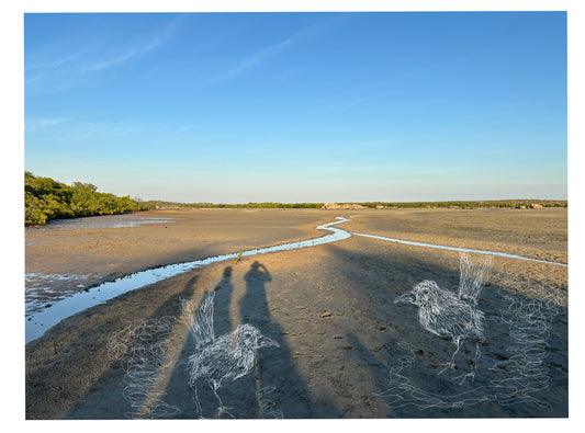 Kimberley Frolic Avian